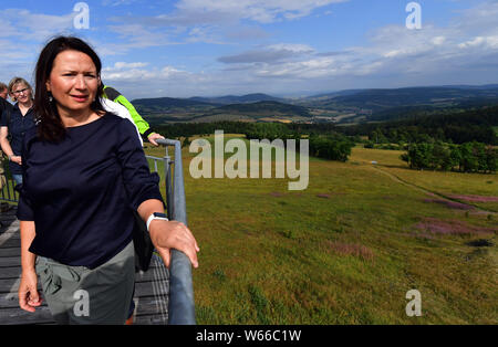 Oberweid, Allemagne. 31 juillet, 2019. Anja Siegesmund (Bündnis90/Die Grünen), Ministre de l'environnement de la Thuringe, nascht framboises sur la voie de la Réserve de biosphère de l'UNESCO la Rhön. C'est l'une des étapes de la tournée d'été du ministre cette année. La visite conduit sur 9 jours et 24 stations le long de la "Grünen" et "Blauer Band' en Thuringe. Crédit : Martin Schutt/dpa-Zentralbild/dpa/Alamy Live News Banque D'Images