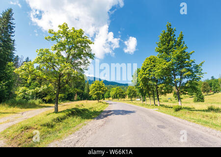 Vieille route à travers la forêt dans les montagnes. beau paysage d'été sur une journée ensoleillée. nuage au-dessus de la crête. arbres le long du chemin Banque D'Images
