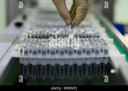 --FILE--Un travailleur chinois montre des doses de vaccin dans une usine de Shenzhen Kangtai Produits biologiques Co.,Ltd., également connu comme BioKangtai à Shenzhen, cit Banque D'Images