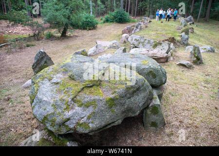 La Saxe-Anhalt, Allemagne. 31 juillet, 2019. Des journalistes et des représentants de la politique et de la préservation des monuments dans le bloc de pierre de l'enceinte 'Königsgrabes', qui a été érigée par les gens de la culture Trichterbecher pour mener à l'inhumation. Dans l'avenir, le mégalithe Route conduira l'Altmark passé la tombe et attirer les touristes dans le nord-ouest de l'Altmark. A l'origine il était prévu de commencer la route longue de 40 kilomètres, au printemps prochain, mais il a encore besoin de temps pour le développement. Dpa : Crédit photo alliance/Alamy Live News Banque D'Images