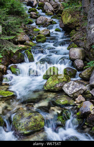 L'un des nombreux cours d'eau à la montagne de Rila en Bulgarie, également connu pour son pic Musala, le point le plus élevé dans les Balkans. Les roches moussues lavée par l'eau. Banque D'Images