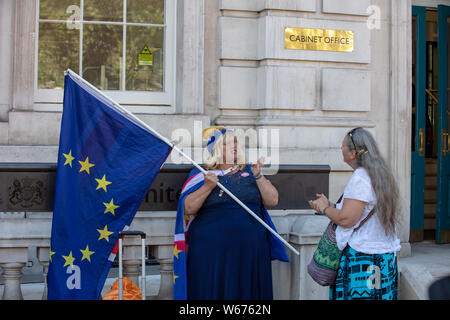 Brexit soutient partisan Pro avec un drapeau remainer waring en face du bureau du Cabinet sur Whitehall à Londres, sur un après-midi de juillet. Banque D'Images