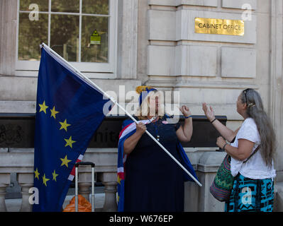 Brexit soutient partisan Pro avec un drapeau remainer waring en face du bureau du Cabinet sur Whitehall à Londres, sur un après-midi de juillet. Banque D'Images