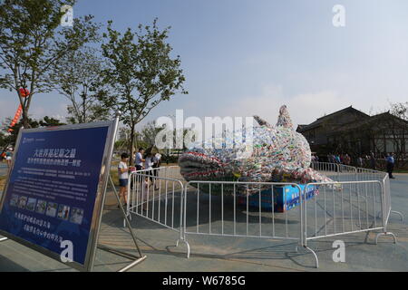 Vue d'un "requin" faite de bouteilles de plastique des déchets pour sensibiliser à la protection de l'environnement de Shanghai Ocean Park à Shanghai, à l'est Chi Banque D'Images