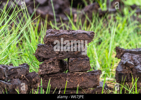 Pile de tourbière turf empilés à une rubrique en hesel, Allemagne. Banque D'Images