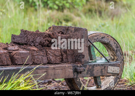 Pile de tourbière turf empilés sur une brouette en bois à un champ en hesel, Allemagne. Banque D'Images