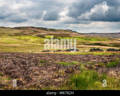 En regardant vers Sypeland Ramsgill Crags près de la région de Nidderdale North Yorkshire Angleterre Banque D'Images