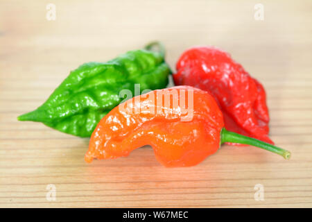 Bhut jolokia : hottest poivre de chili sur la table rustique Banque D'Images