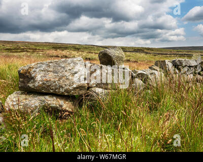 Mur en pierre sèche sur la lande près de Ramsgill dans la Nidderdale North Yorkshire Angleterre Banque D'Images