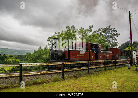 Un petit garçon regarde passer un train à vapeur. Banque D'Images