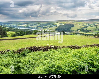 Vue vers le réservoir près de Ramsgill Gouthwaite dans la Nidderdale North Yorkshire Angleterre Banque D'Images