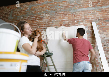 Jeune couple vacances ensemble de réparation eux-mêmes. L'homme et de la femme mariés faisant Home makeover ou rénovation. Conception des rapports, la famille, l'animal et l'amour. La peinture du mur, tenant le chien. Banque D'Images