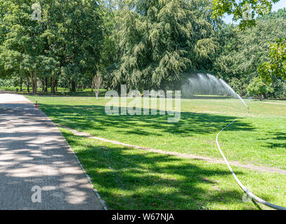 Dans les gicleurs pelouse park sur chaude journée d'été Banque D'Images