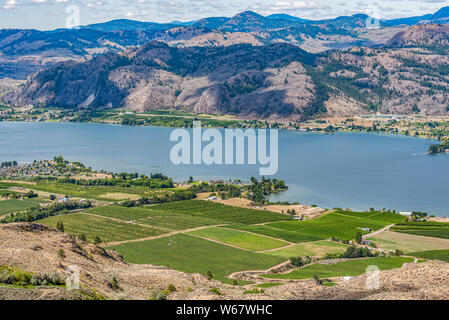 La viticulture à Osoyoos, Okanagan Valley, British Columbia, Canada Banque D'Images