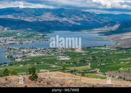 La viticulture à Osoyoos, Okanagan Valley, British Columbia, Canada Banque D'Images