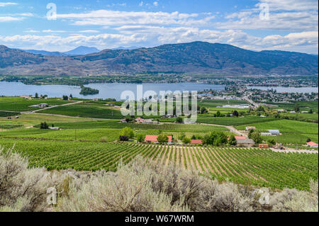 La viticulture à Osoyoos, Okanagan Valley, British Columbia, Canada Banque D'Images