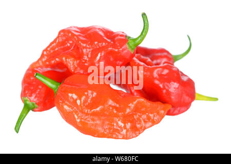 Bhut jolokia : hottest poivre de chili isolated on white Banque D'Images