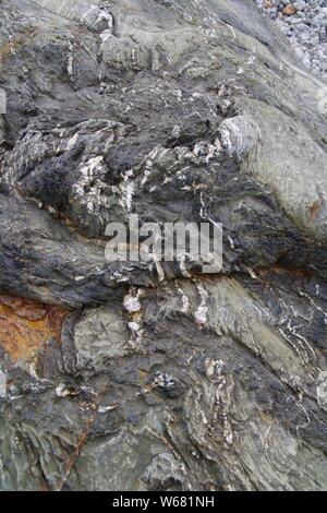 Fond naturel de roches métasédimentaires Rock. St Agnes, North Cornwall, UK. Banque D'Images