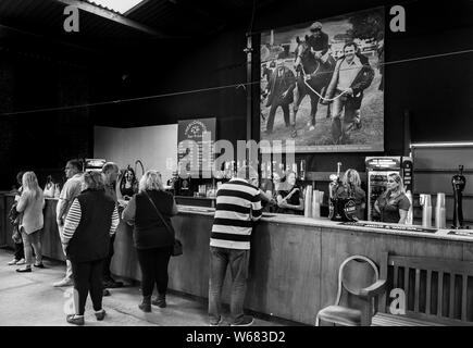 Chasse au terrier 4 point à l'autre course de chevaux 2019 Banque D'Images