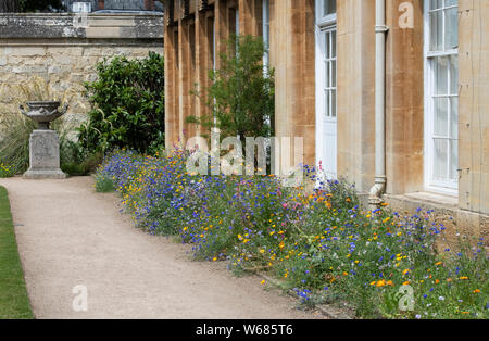 En bordure de fleurs sauvages de l'été à Oxford Botanic Garden, Oxford, Oxfordshire, Angleterre Banque D'Images