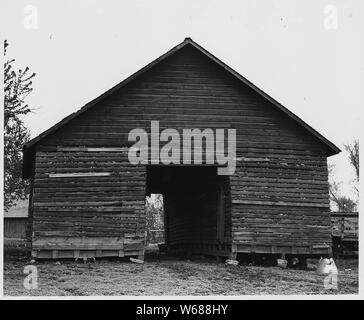 Le comté de Shelby, Iowa. Des lits de maïs doivent être trouvés sur chaque ferme dans la région ; parfois plusieurs de th . . . ; Portée et contenu : la légende complète se lit comme suit : le comté de Shelby, Iowa. Des lits de maïs doivent être trouvés sur chaque ferme dans la région ; parfois plusieurs d'entre eux sur un seul endroit. [Ce] est un des plus commune et pratique type. Banque D'Images