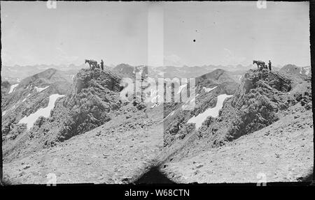 Sommet du roi Salomon, Silverton quadrangle. Le Comté de San Juan, au Colorado. Banque D'Images