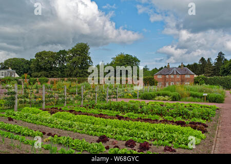 GORDON CASTLE GARDENS FOCHABERS MORAY ECOSSE Le vaste jardin clos et des rangées de plants de laitue Banque D'Images