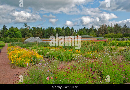 GORDON CASTLE GARDENS FOCHABERS MORAY ECOSSE Le vaste jardin clos et de spectaculaires fleurs colorées Banque D'Images