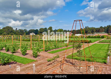 GORDON CASTLE GARDENS FOCHABERS MORAY ECOSSE Le vaste jardin clos de buissons et de fruits FRAMBOISE CANNES Banque D'Images