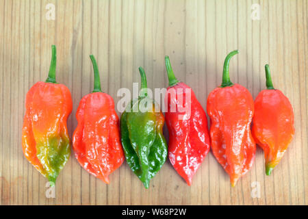 Bhut jolokia : hottest poivre de chili sur la table rustique Banque D'Images