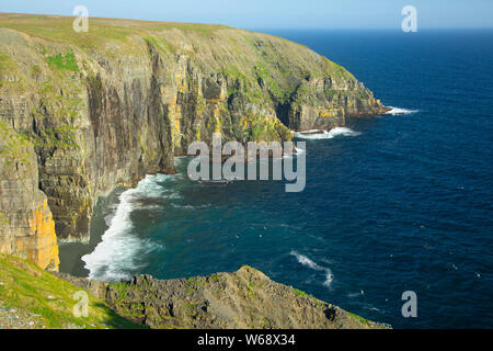 Le Rookery falaise, réserve écologique de Mistaken Point, Terre-Neuve et Labrador, Canada Banque D'Images