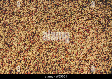 Schéma des noisettes décortiquées brun. Noix décortiquées heap., la texture de la nourriture et des boissons, des ingrédients. La nutrition, d'éléments nutritifs. Banque D'Images