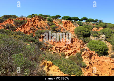 Les falaises rocheuses rouge et vert des arbres de la Réserve Naturelle de Caminho da Baleeira Banque D'Images