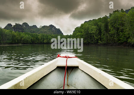 Bateau sur une rivière nature mangrove Banque D'Images