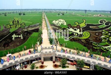 3D'une rizière peinture appelé 'Soaring Dragon dans le domaine' est sur l'affichage à l'rizières à Shenyang city, Liaoning Province du nord-est de la Chine, 24 Banque D'Images