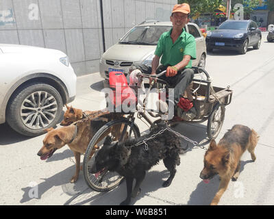 Vieil homme surnommé chinois Xie est assis sur le tricycle tiré par ses chiens dans une rue de Shanghai, Chine du nord, dans la province du Hebei, 19 mai 2018. 4 Banque D'Images