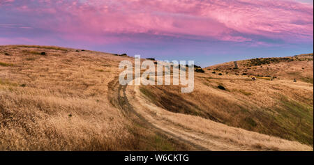 Vue du coucher de sentier de randonnée pédestre à travers les collines d'or dans la région de Santa Cruz Mountains ; rose et rouge nuages couvrant le ciel ; baie de San Francisco, Calif. Banque D'Images