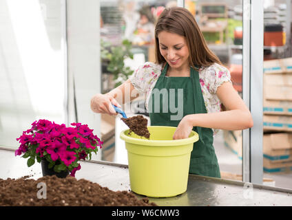 Heureux les jeunes travailleurs un terreau pépinière pétunia surfinia pourpre coloré ou plante dans un grand pot vert de le remplir avec du terreau à l'aide d'un petit trowe Banque D'Images