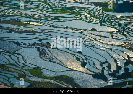 Paysage de champs en terrasses après la rotation des cultures dans la région de Xuyong county, Luzhou city, dans le sud-ouest de la province chinoise du Sichuan, 3 avril 2018. Banque D'Images