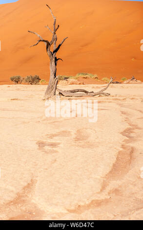 Arbres morts contre contre la toile rouge de la des immenses dunes de sable de la Namibie à l'Deadvlei Banque D'Images