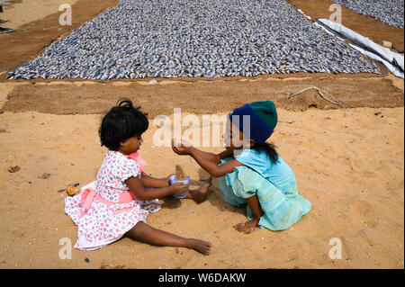 Enfants jouant dans le sable par le séchage du poisson au marché aux poissons de Negombo, complexe de Negombo, Sri Lanka. Banque D'Images