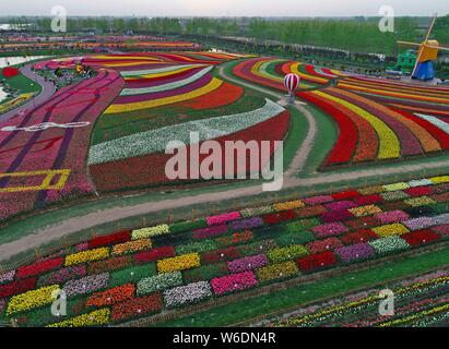 Vue aérienne de plus de 30 millions de tulipes en fleur pleine à la mer de Hollande de fleurs dans la ville de Yancheng Dafeng, district de Jiangsu, de l'est provi Banque D'Images