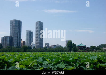 Parc de Ueno, Tokyo Banque D'Images