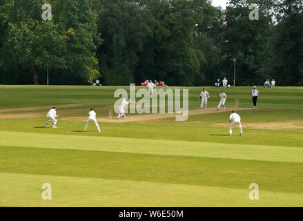 Batteur et Fielders en action lors d'un match de cricket anglais Arundel Castle Cricket Club Banque D'Images