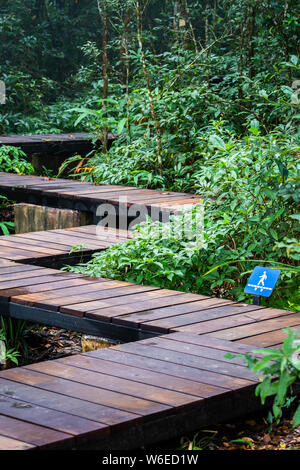 Passerelle en bois de sournois voir de vue sur la forêt tropicale à l'intérieur de la masse de pente couverte d'espaces verts arbres et arbustes. Banque D'Images