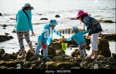 --FILE--touristes s'amuser sur un beach resort dans la ville de Sanya, province de Hainan en Chine du Sud, 24 janvier 2015. L'île du sud de la Chine ville côtière Banque D'Images