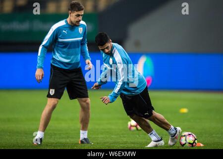 Les joueurs de l'équipe nationale de football d'Uruguay prendre part à une session de formation avant la demi-finale contre la République tchèque au cours de la Gree 2018 Chin Banque D'Images