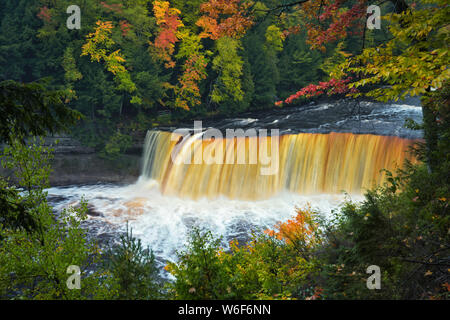 Tahquemenon la rivière avec son eau couleur ambre de tanin naturels trouvés en cascade sur Tahqemenon tombe dans la Péninsule Supérieure du Michigan. Banque D'Images