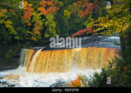 Tahquemenon la rivière avec son eau couleur ambre de tanin naturels trouvés en cascade sur Tahqemenon tombe dans la Péninsule Supérieure du Michigan. Banque D'Images