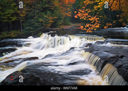 Tahquemenon la rivière avec son eau couleur ambre de tanin naturels trouvés en cascade sur Tahqemenon tombe dans la Péninsule Supérieure du Michigan. Banque D'Images